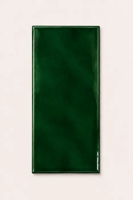 Especial Verde 10×20